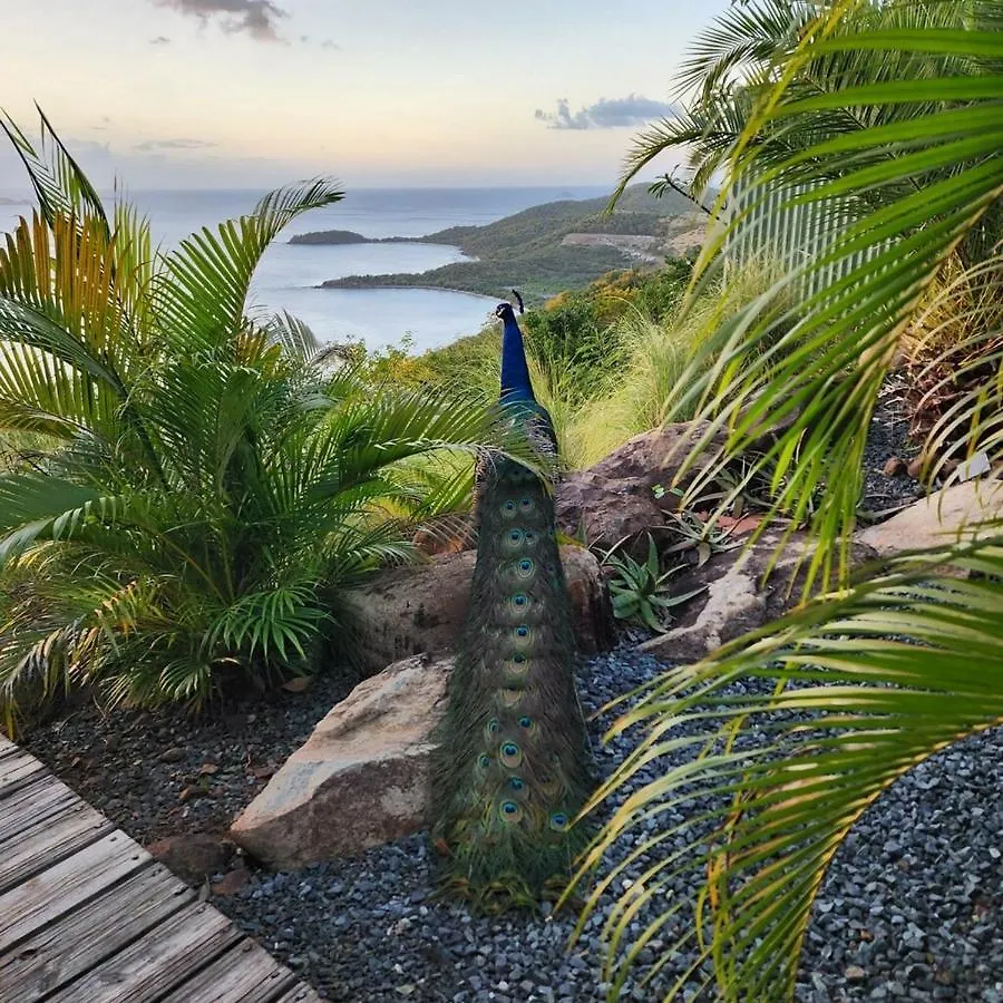 Lodge Aleli Cottages Isla Culebra Porto Rico